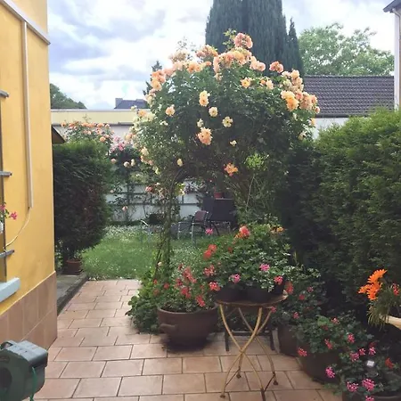 A&S Ferienwohnungenbonner Str 49 Exterior photo